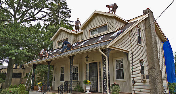 Best Metal Roofing Contractor  in Arlington Heights, IL